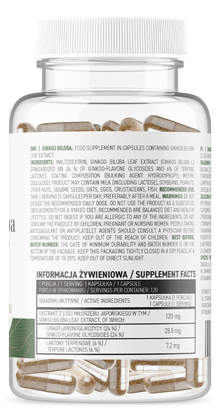 OstroVit Vege Ginkgo Biloba 120 капсул (Островит Гинко Билоба) 970204 фото