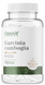 OstroVit Garlic 90 капсул (ОстроВіт Часник) 1072840 фото 1